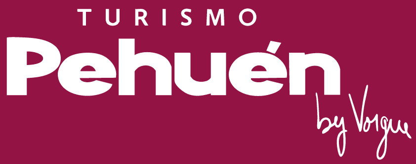 Logo Turismo Puhuen